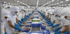 8月巴沙鱼进口量暴跌60%！近半数越南巴沙鱼工厂停产！